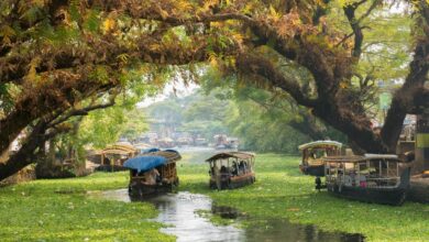 Amazing Things to do in Alleppey for a Romantic Vacation