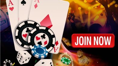 Betinexchange Is Winning the Sports Tech Race: Top Reasons Why